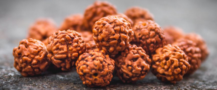 Rare Rudraksha
